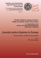 Juvenile Justice Systems in Europe edito da Forum Verlag Godesberg GmbH