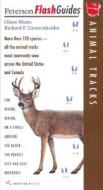 Animal Tracks di Olaus Murie, Richard Philip Grossenheider edito da Houghton Mifflin Harcourt (HMH)