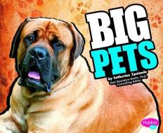 Big Pets di Catherine Ipcizade edito da PEBBLE PLUS