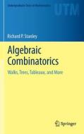 Algebraic Combinatorics di Richard P. Stanley edito da Springer-verlag New York Inc.