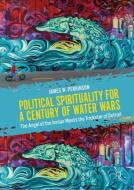 Political Spirituality for a Century of Water Wars di James W. Perkinson edito da Springer-Verlag GmbH
