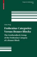 Frobenius Categories versus Brauer Blocks di Lluis Puig edito da Springer Basel AG