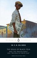 The Souls of Black Folk di W. E. B. Du Bois edito da Penguin Books Ltd