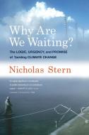 Why Are We Waiting? di Nicholas (Lord Stern of Brentford Stern edito da MIT Press Ltd