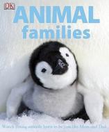 Animal Families di Lorrie Mack edito da DK Publishing (Dorling Kindersley)