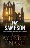 The Wounded Snake di Fay Sampson edito da Severn House Publishers Ltd
