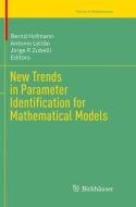New Trends in Parameter Identification for Mathematical Models edito da Springer International Publishing