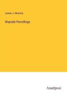 Wayside Pencillings di James J. Moriarty edito da Anatiposi Verlag