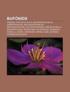 Buf Nids: Ansonia, Atelopus, Bufo, Dendr di Font Wikipedia edito da Books LLC, Wiki Series