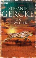 Junigewitter di Stefanie Gercke edito da Heyne Taschenbuch