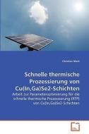 Schnelle thermische Prozessierung von Cu(In,Ga)Se2-Schichten di Christian Merk edito da VDM Verlag