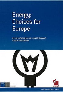 Energy di Lars Hendrik Roller, Juan Delgado, Hans W. Friederiszick edito da Eurocomment Bookshop