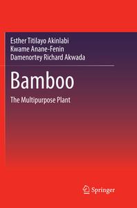 Bamboo di Esther Titilayo Akinlabi, Kwame Anane-Fenin, Damenortey Richard Akwada edito da Springer International Publishing Ag