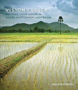 Vision And Voice di David DuChemin edito da Pearson Education (us)