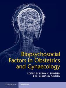 Biopsychosocial Factors in Obstetrics and Gynaecology di Leroy C. Edozien edito da Cambridge University Press