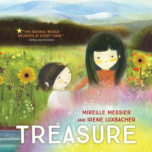 Treasure di Mireille Messier, Irene Luxbacher edito da ORCA BOOK PUBL