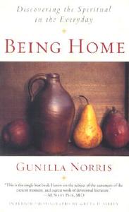 Being Home di Gunilla Brodde Norris edito da HiddenSpring