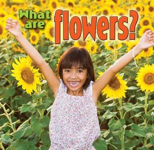 What are Flowers di Kelley MacAulay edito da Crabtree Publishing Co,US