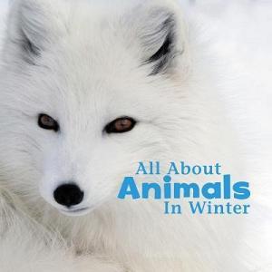 All about Animals in Winter di Martha Elizabeth Hillman Rustad edito da CAPSTONE PR