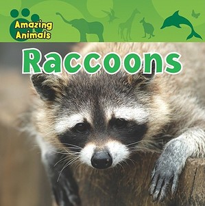 Raccoons di Karen Baicker edito da Gareth Stevens Publishing