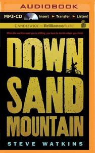Down Sand Mountain di Steve Watkins edito da Candlewick on Brilliance Audio