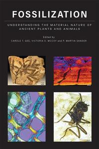 Fossilization: Understanding the Material Nature of Ancient Plants and Animals di Carole T. Gee edito da JOHNS HOPKINS UNIV PR