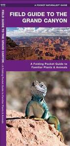 Grand Canyon, Field Guide to the: A Folding Pocket Guide to Familiar Plants and Animals di James Kavanagh edito da Waterford Press