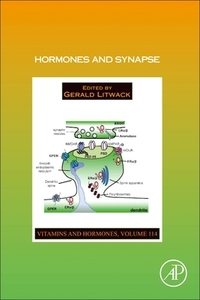 Hormones And Synapse edito da Elsevier Science Publishing Co Inc