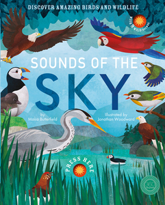 Sounds of the Sky di Moira Butterfield edito da 360 DEGREES