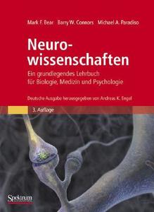 Neurowissenschaften di Mark F. Bear, Barry W. Connors, Michael A. Paradiso edito da Spektrum Akademischer Verlag