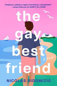 The Gay Best Friend di Nicolas Didomizio edito da SOURCEBOOKS CASABLANCA