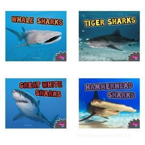 All about Sharks di Deborah Nuzzolo edito da CAPSTONE PR