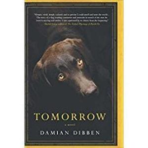 Tomorrow di Damian Dibben edito da Hanover Square Press