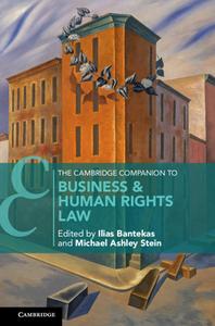 The Cambridge Companion To Business And Human Rights Law edito da Cambridge University Press