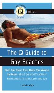 The Q Guide To Gay Beaches di David Allyn edito da Alyson Publications Inc
