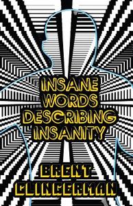 Insane Words Describing Insanity di Brent Clingerman edito da Publishamerica