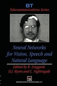 Neural Networks for Vision, Speech and Natural Language edito da Springer Netherlands