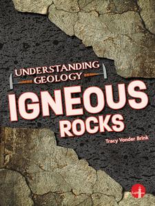 Igneous Rocks di Tracy Vonder Brink edito da LIGHTHOUSE