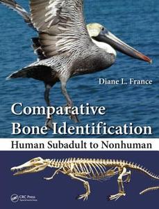 Comparative Bone Identification di Diane L. France edito da CRC Press