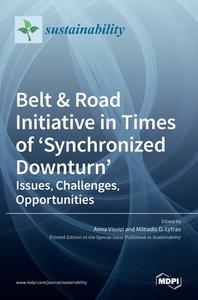 Belt & Road Initiative in Times of 'Synchronized Downturn' edito da MDPI AG