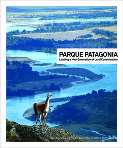 Parque Patagonia: Leading a New Generation of Land Conservation di Will Carless edito da Patagonia Ediciones
