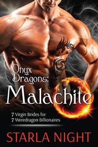 Onyx Dragons di Starla Night edito da Wendy Lynn Clark Publishing