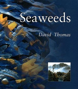 Seaweeds: Seaweeds di David Thomas, D. Thomas edito da Smithsonian Books (DC)