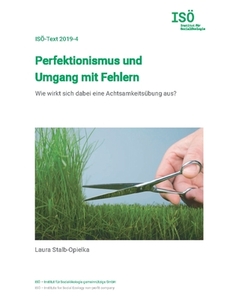 Perfektionismus und Umgang mit Fehlern di Laura Stalb-Opielka edito da Books on Demand