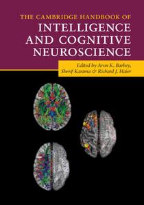 The Cambridge Handbook Of Intelligence And Cognitive Neuroscience edito da Cambridge University Press
