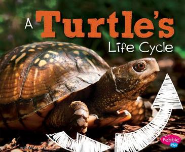 A Turtle's Life Cycle di Mary R. Dunn edito da CAPSTONE PR