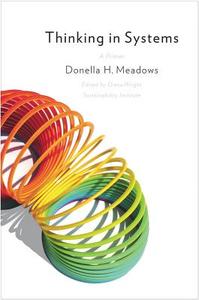 Thinking in Systems di Donella H. Meadows edito da Chelsea Green Publishing Co