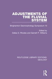 Adjustments Of The Fluvial System edito da Taylor & Francis Ltd