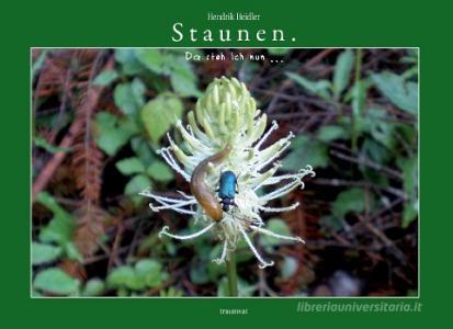Staunen. di Hendrik Heidler edito da Books on Demand