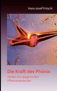 Die Kraft Des Phonix di Hans-Josef Fritschi edito da Books On Demand